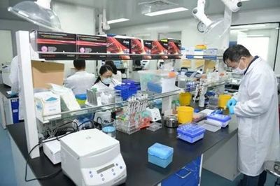 國投旗下醫(yī)藥企業(yè) 科技為翼，助力新藥研發(fā)與病毒檢測新征程